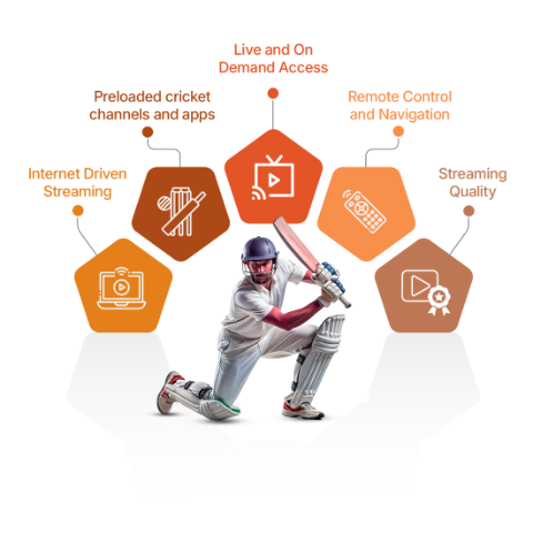 Indian Cricket TV Box Features