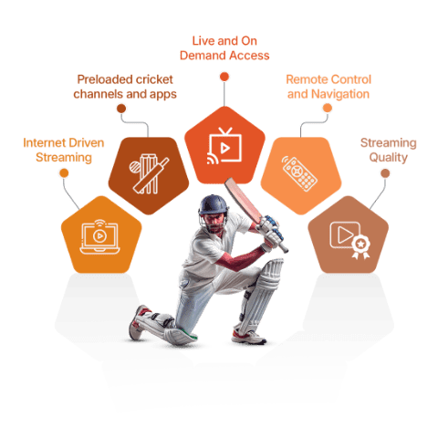Indian Cricket TV Box Features